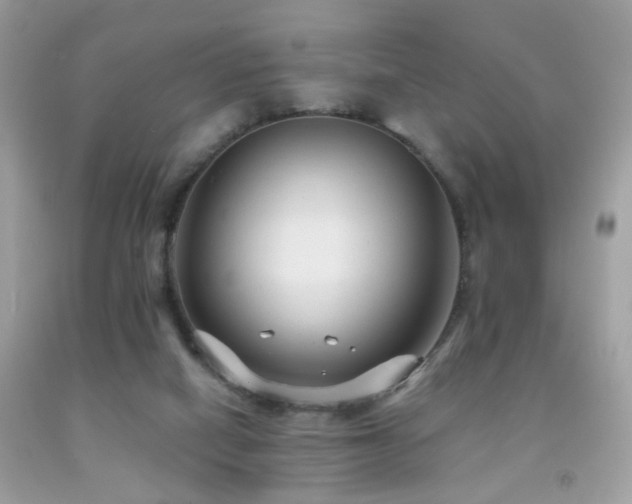 X0000091860066200709051217