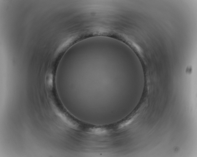 X0000091860067200709051217