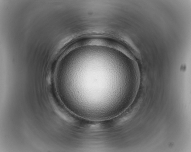 X0000091860068200709051217