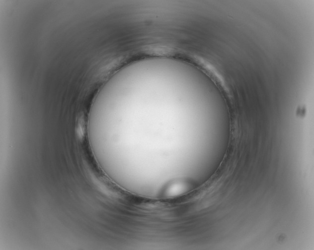 X0000091860069200709051217