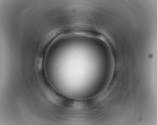 X0000091860070200709051217