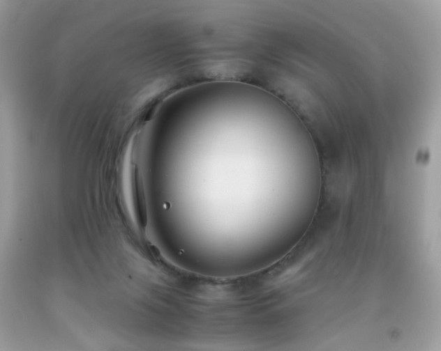 X0000091860071200709051217