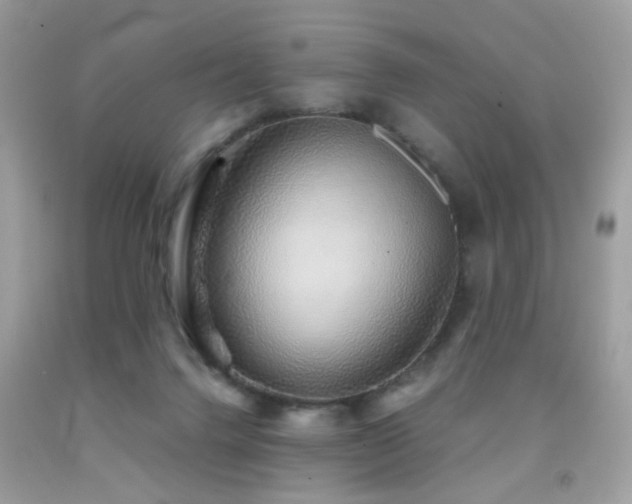 X0000091860072200709051217