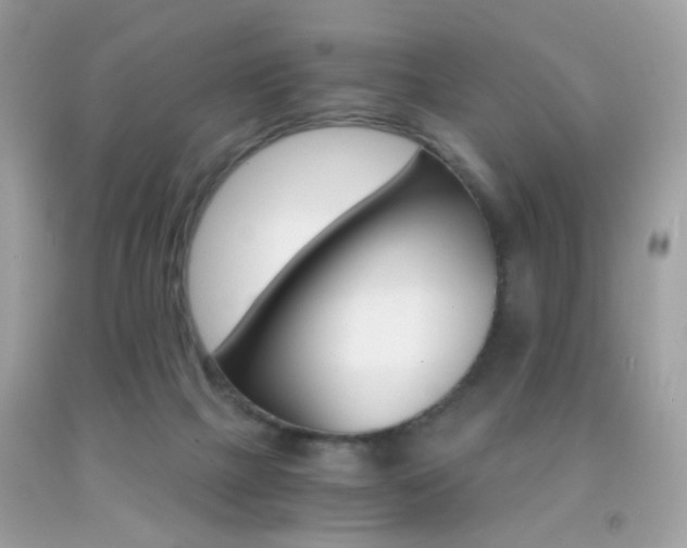 X0000091860073200709051217