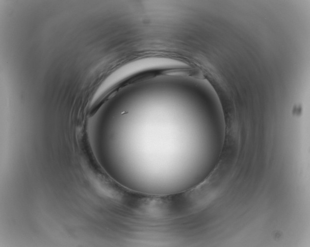 X0000091860074200709051217