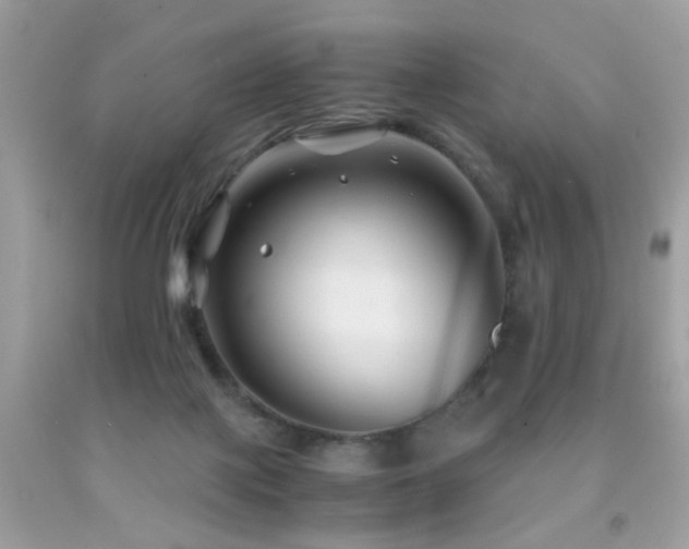 X0000091860075200709051217