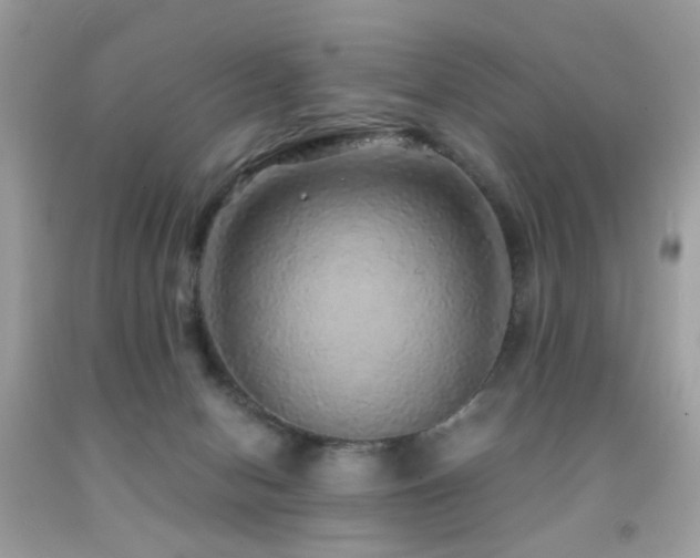 X0000091860078200709051217