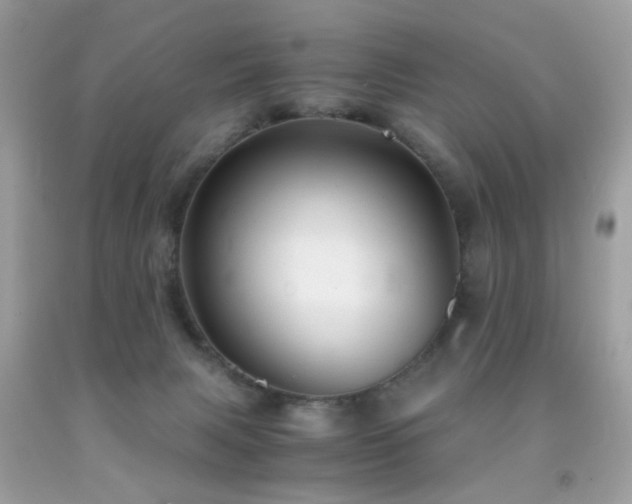 X0000091860079200709051217