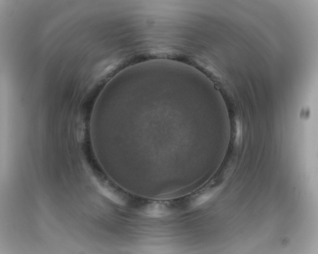 X0000091860080200709051217