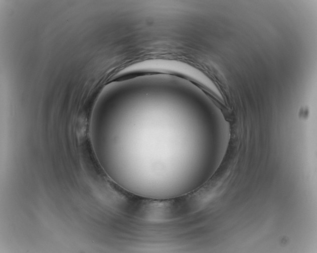 X0000091860081200709051217