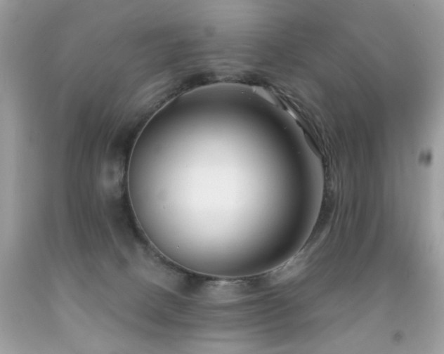 X0000091860082200709051217