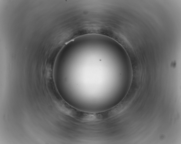 X0000091860083200709051217