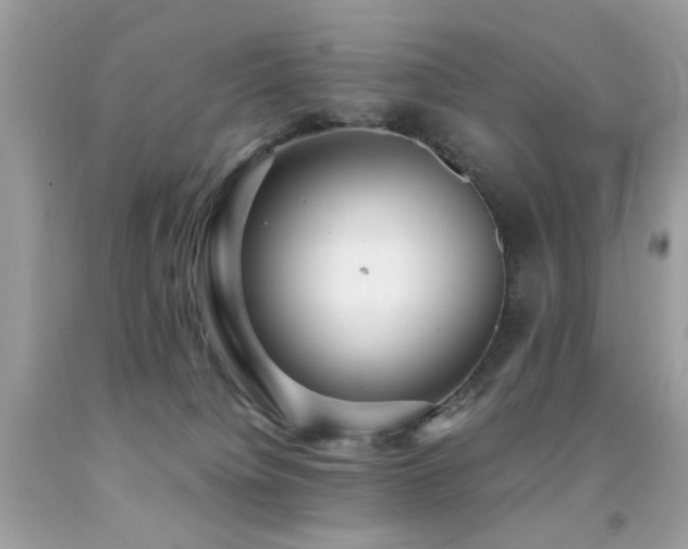 X0000091860084200709051217