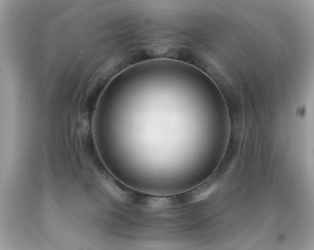 X0000091860085200709051217