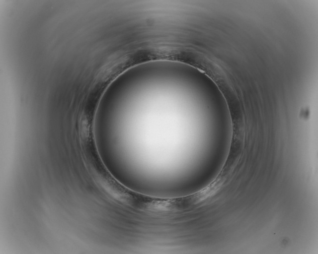 X0000091860086200709051217