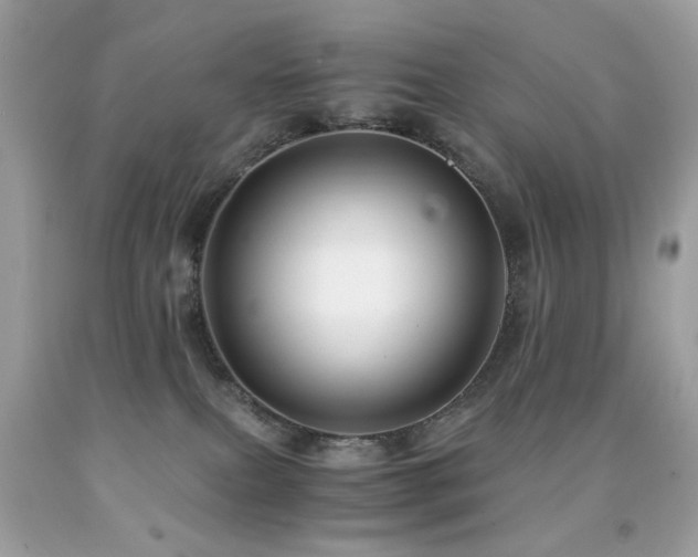 X0000091860087200709051217