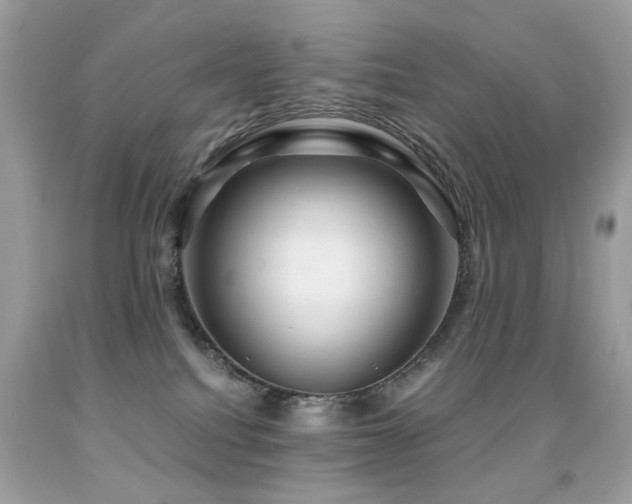 X0000091860088200709051217