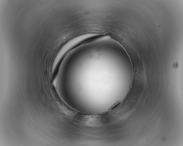 X0000091860089200709051217