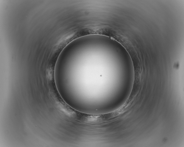 X0000091860090200709051217