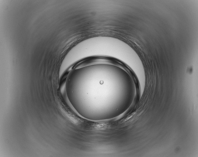 X0000091860092200709051217