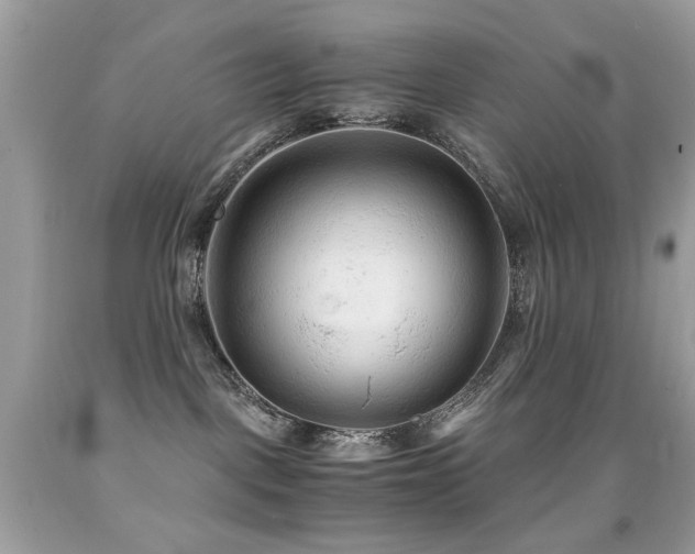 X0000091860093200709051217