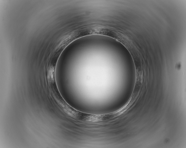 X0000091860094200709051217