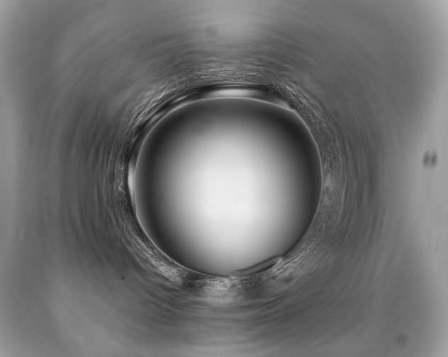 X0000091860096200709051217