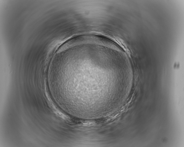 X0000091860097200709051216