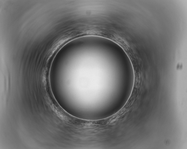 X0000091860098200709051216