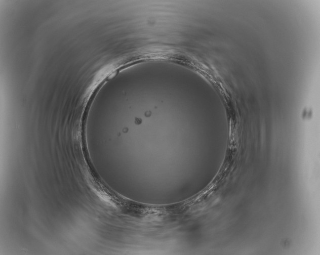 X0000091860099200709051216