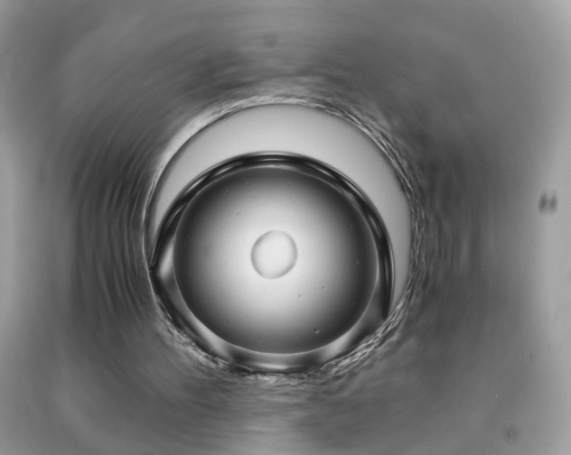 X0000091860100200709051216