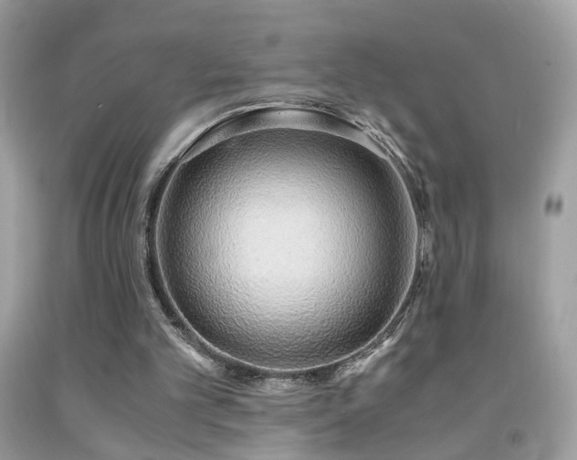 X0000091860101200709051216