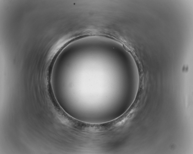 X0000091860103200709051216