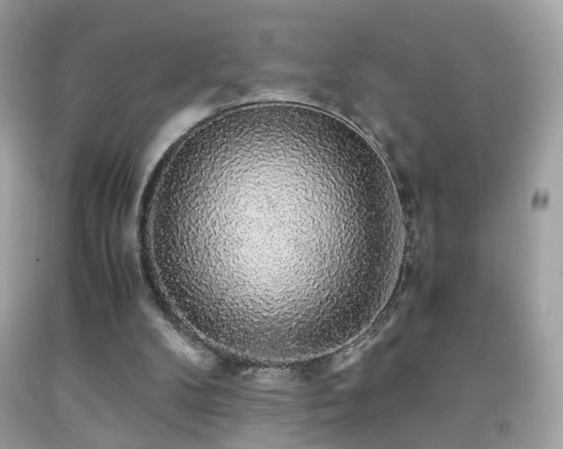 X0000091860104200709051216