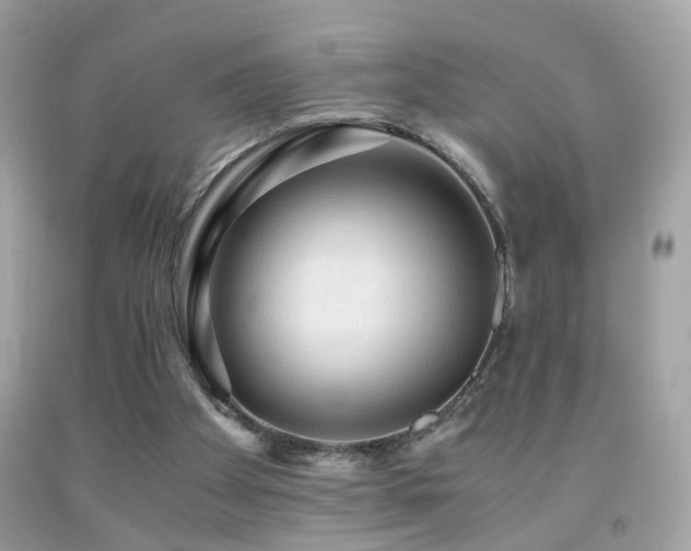 X0000091860105200709051216