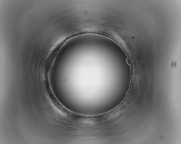 X0000091860106200709051216