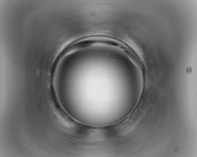 X0000091860107200709051216