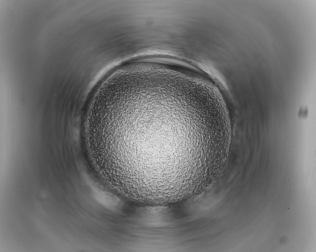 X0000091860108200709051216