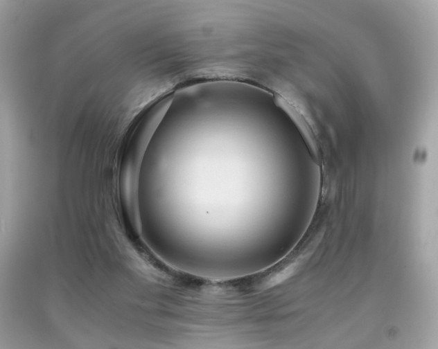 X0000091860109200709051216