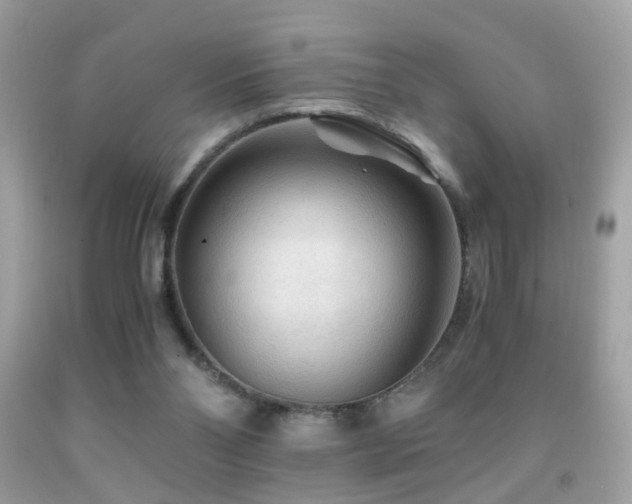 X0000091860110200709051216