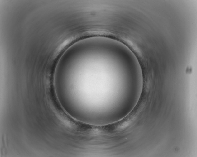 X0000091860111200709051216