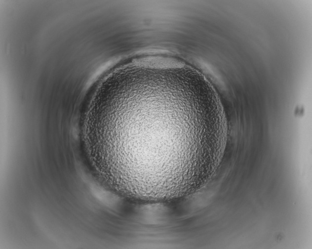 X0000091860112200709051216