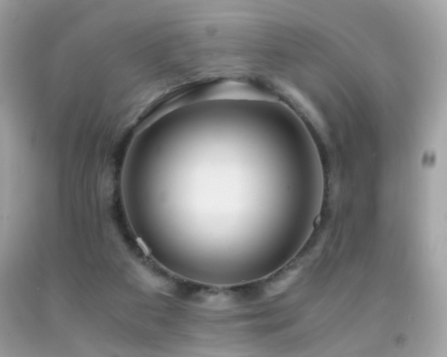 X0000091860113200709051216