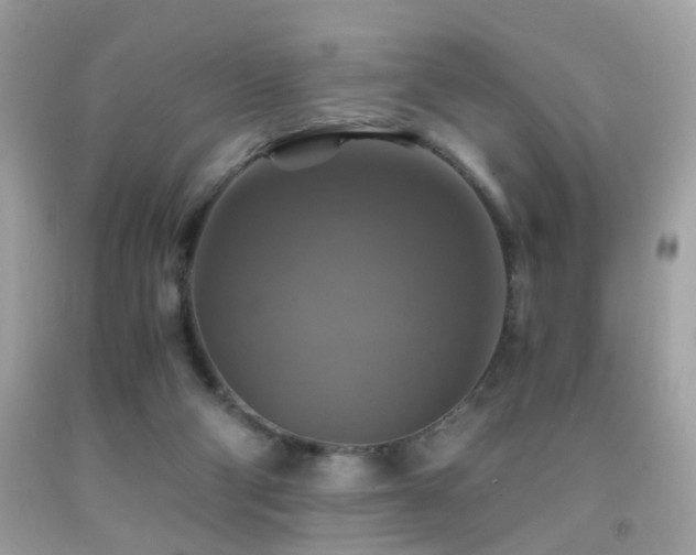 X0000091860114200709051216