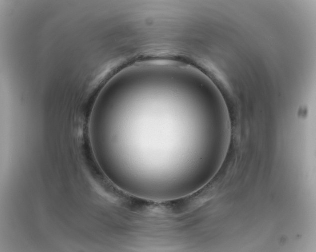 X0000091860115200709051216