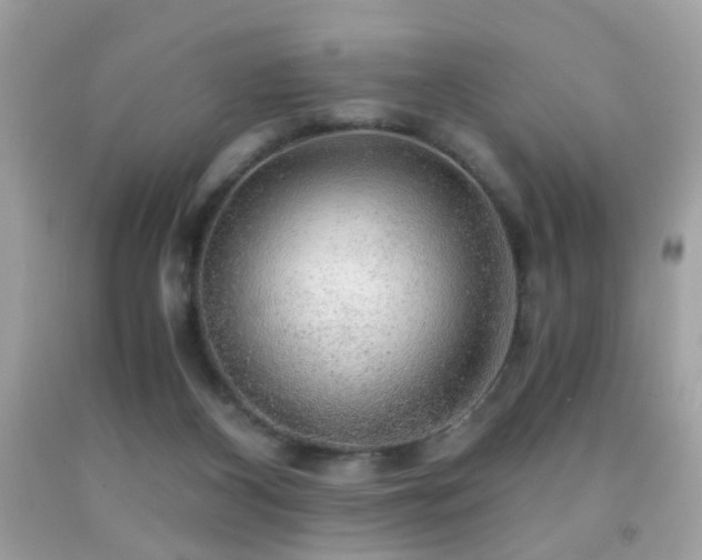 X0000091860116200709051216