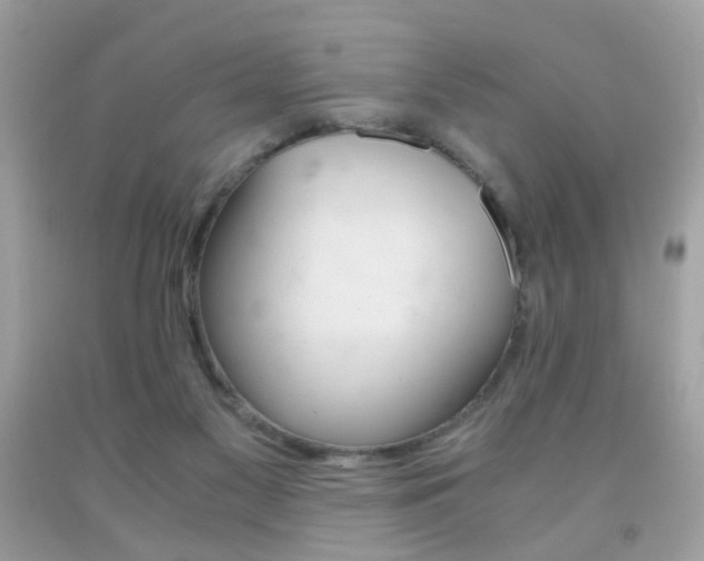 X0000091860117200709051216