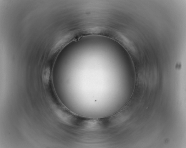 X0000091860118200709051216