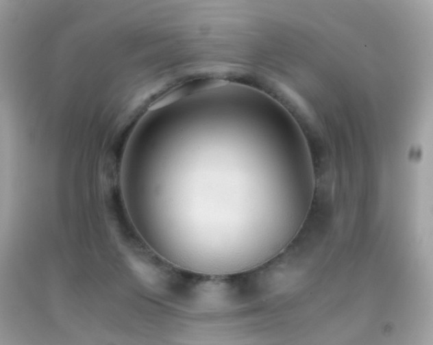 X0000091860119200709051216