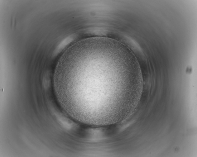 X0000091860120200709051216